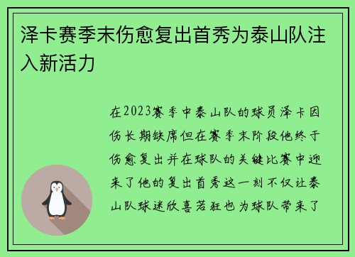 泽卡赛季末伤愈复出首秀为泰山队注入新活力