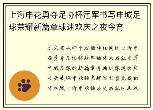 上海申花勇夺足协杯冠军书写申城足球荣耀新篇章球迷欢庆之夜今宵