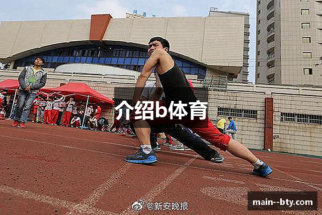 介绍b体育